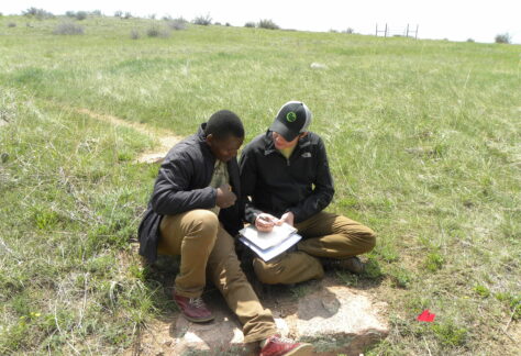 two fellows sitting in a open clearing