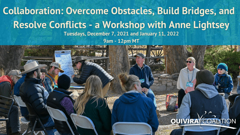 Collaboration-Overcome-Obstacles-Build-Bridges-and-Resolve-Conflicts-a-workshop-with-Anne-Lightsey
