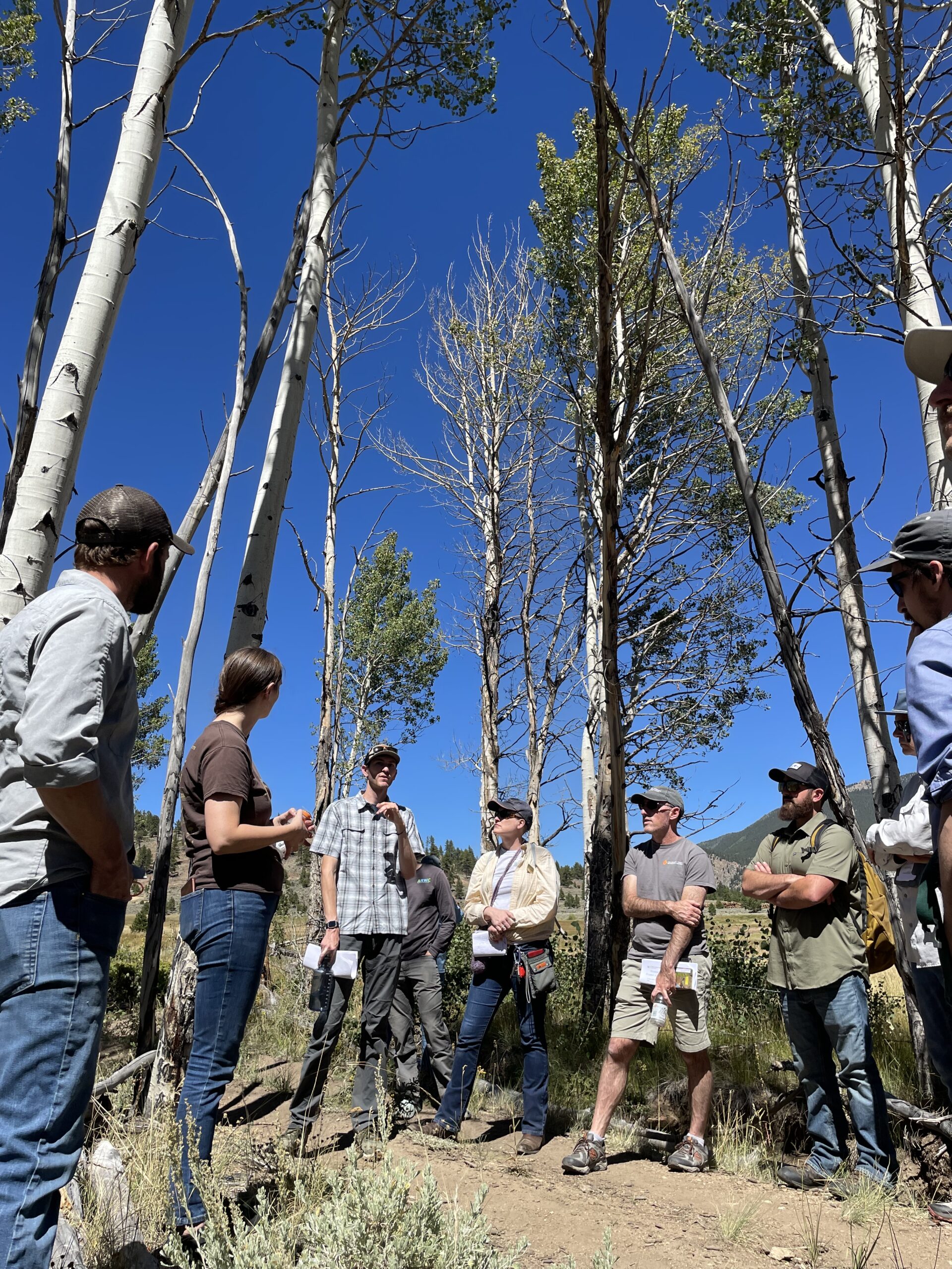 Colorado Forest Collaboratives Summit - Center for Collaborative ...