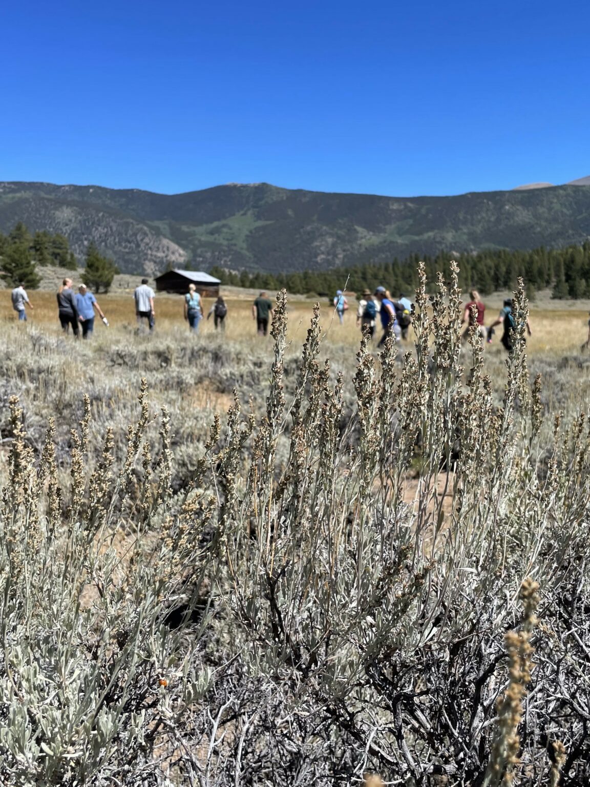 Colorado Forest Collaboratives Summit - Center for Collaborative ...
