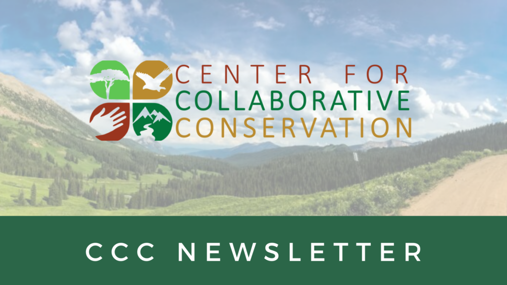 CCC Newsletter