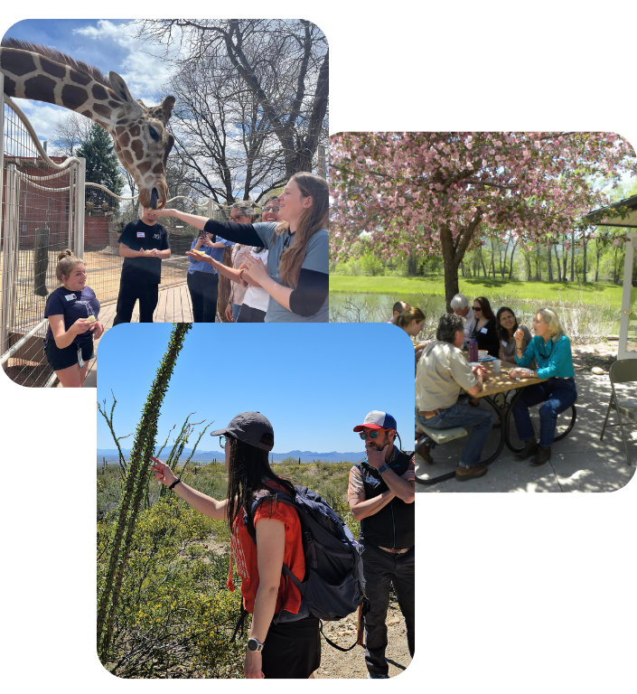 Collage of images with students