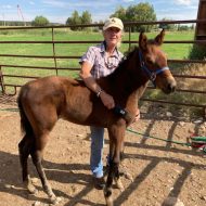 Portrait of Rox Hicks: Woman posing with a horse